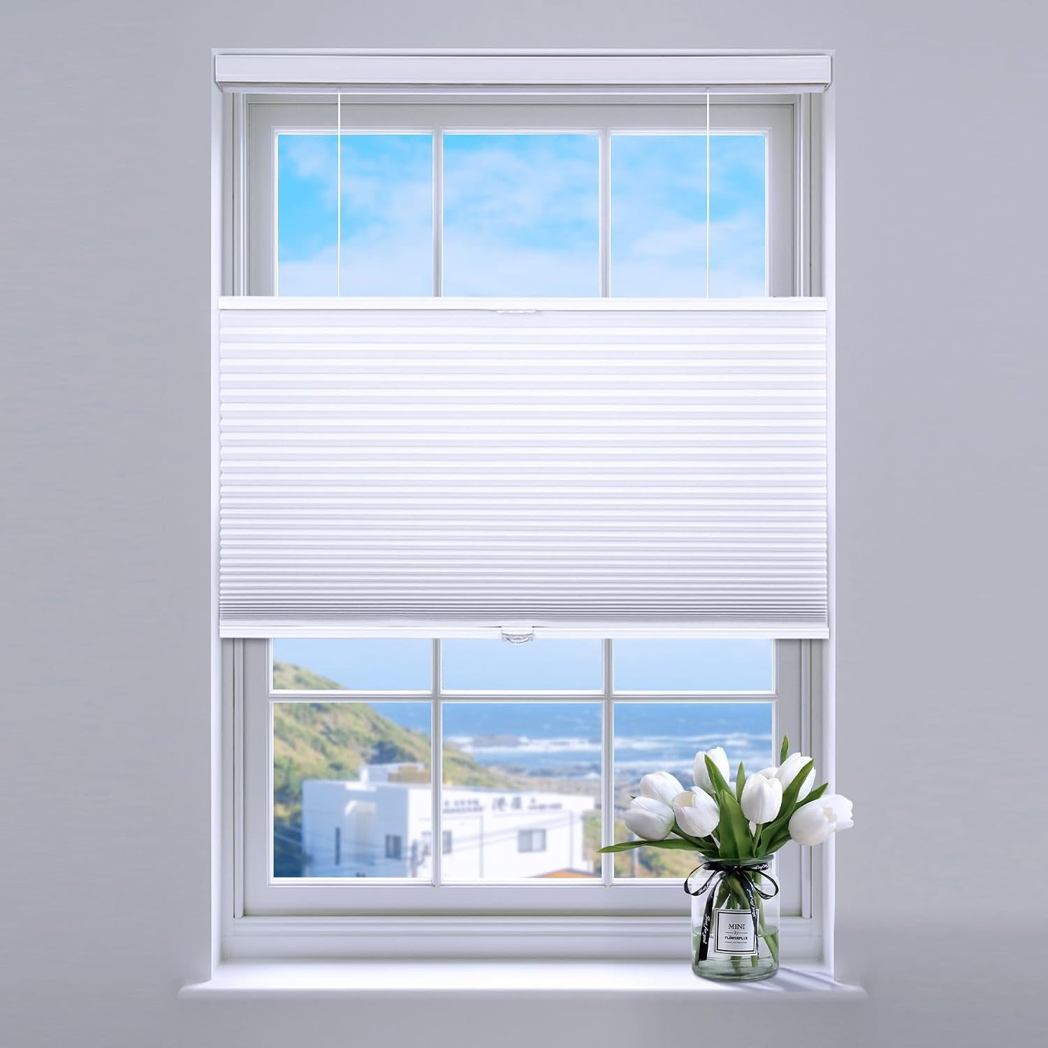 Top down Bottom up Cellular Blinds,Cellular Shades Blackout, Honeycomb Window Sh