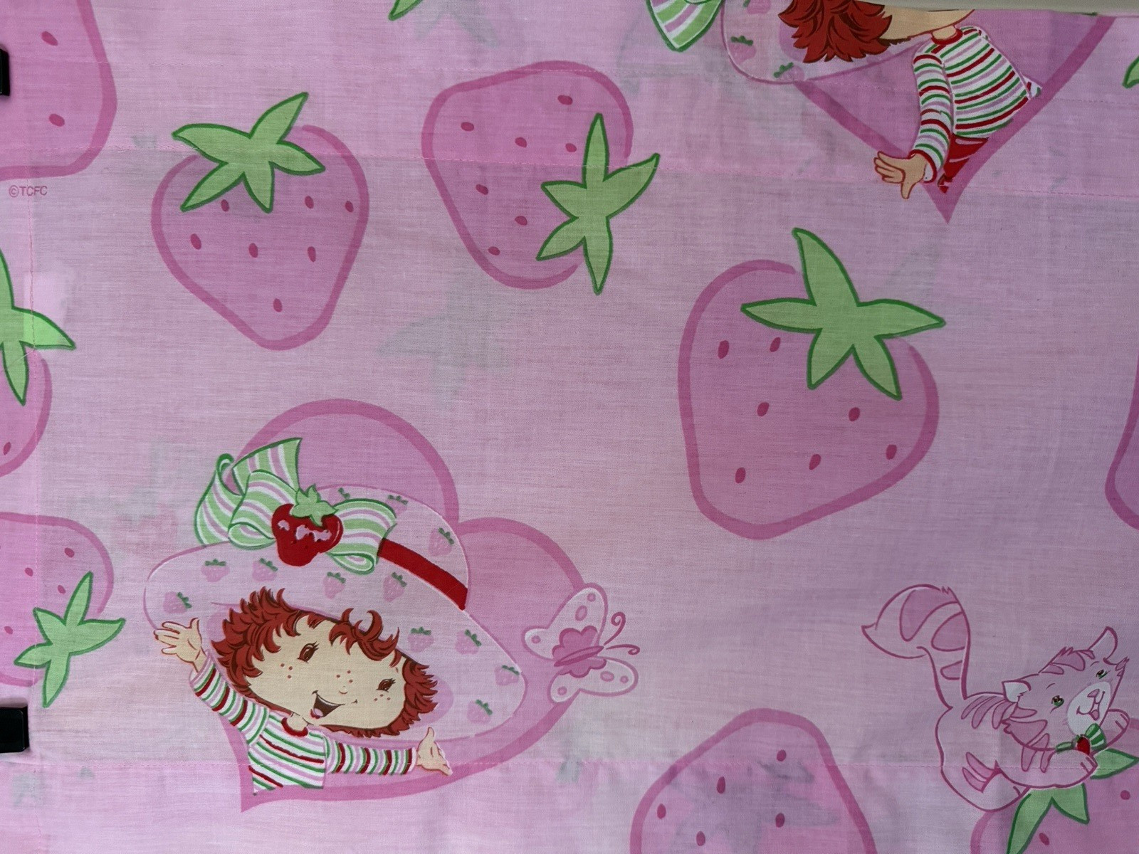 Vintage TCFC 2003 STRAWBERRY SHORTCAKE Window Valance