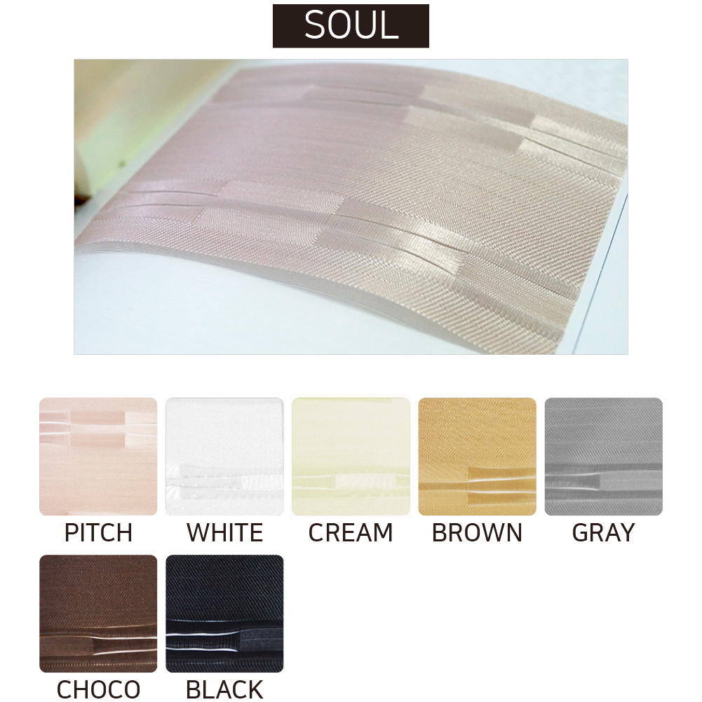 Window Blinds Unique Light Filtering Sheer Shade Double Roller Shade Custom Made