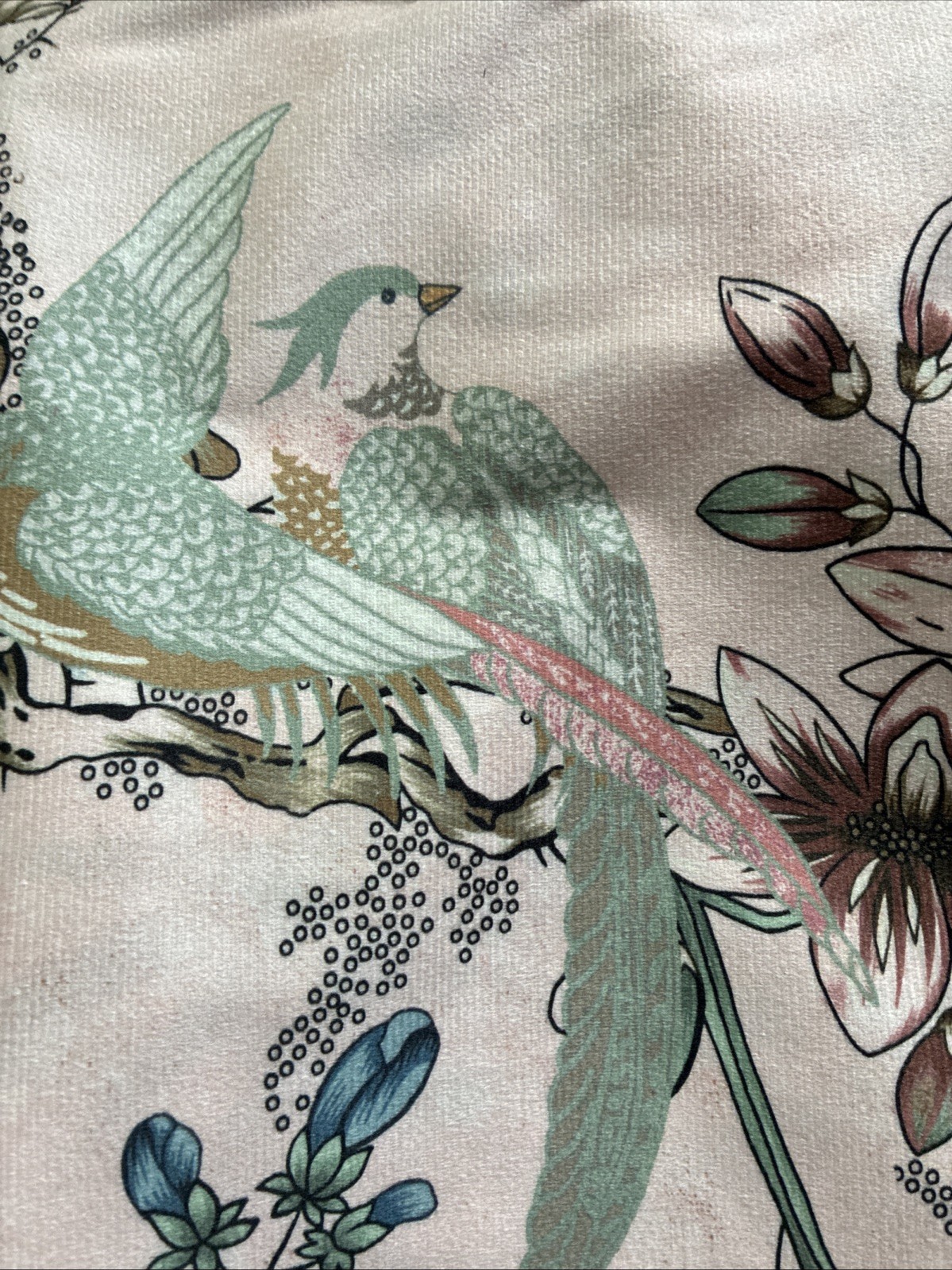 New Callisto Home Two Rod Pocket Panels 2 x 38″ x 84″ Peacock Birds Curtains