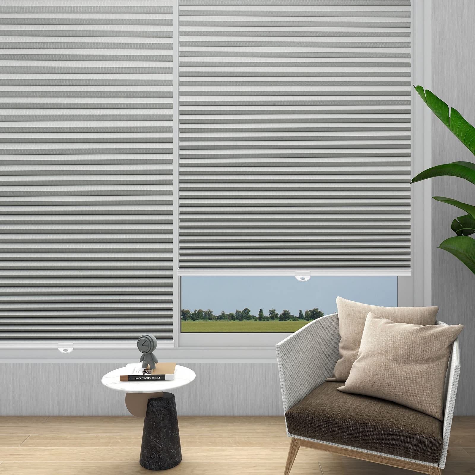 Changshade Cordless Cellular Shades Room Darkening Black Out Honeycomb Blinds