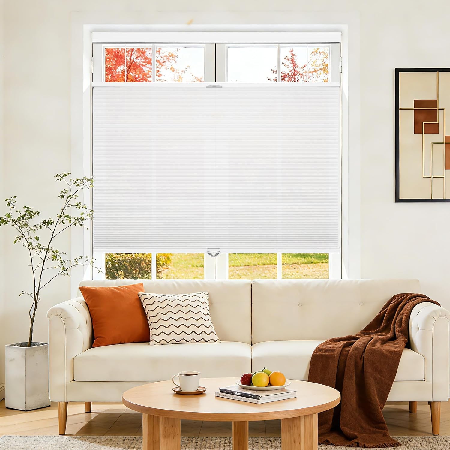 Down Bottom Up Cellular Shades Cordless,35″ W x 36″ H,Pull Down Honeycomb Blinds