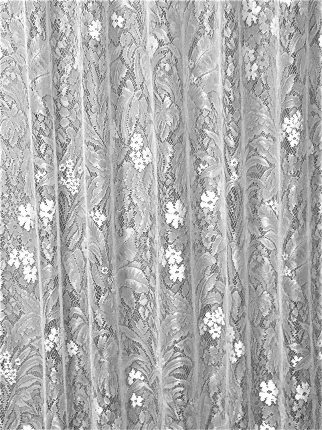 English Fern Tab Top Lace Window Panel White 60″ X 84″ Bedroom Livingroom