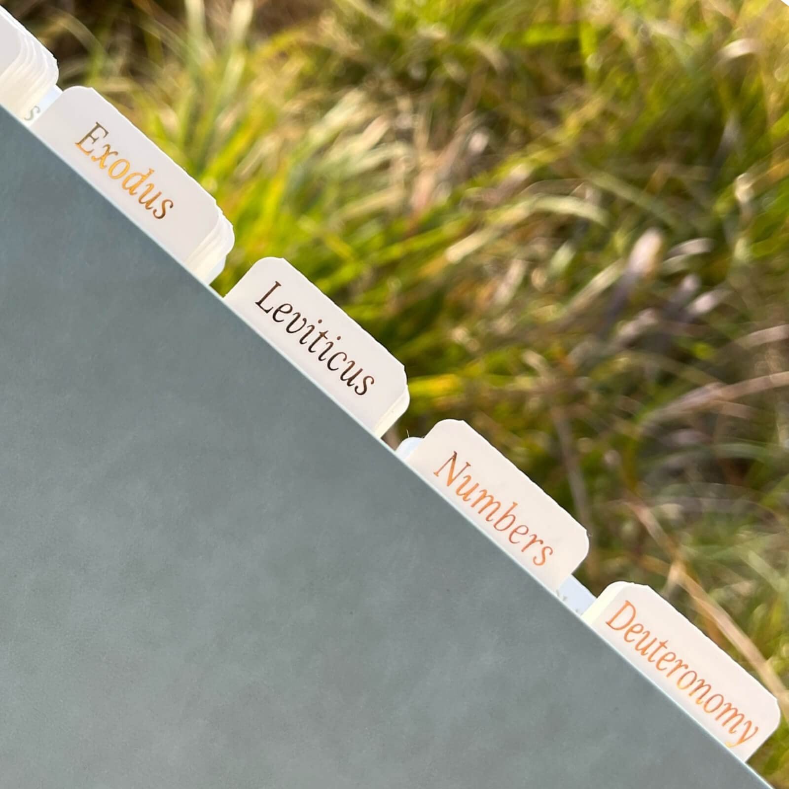 Bible Tabs for Women/Men/Kids, White with Gold Large Print