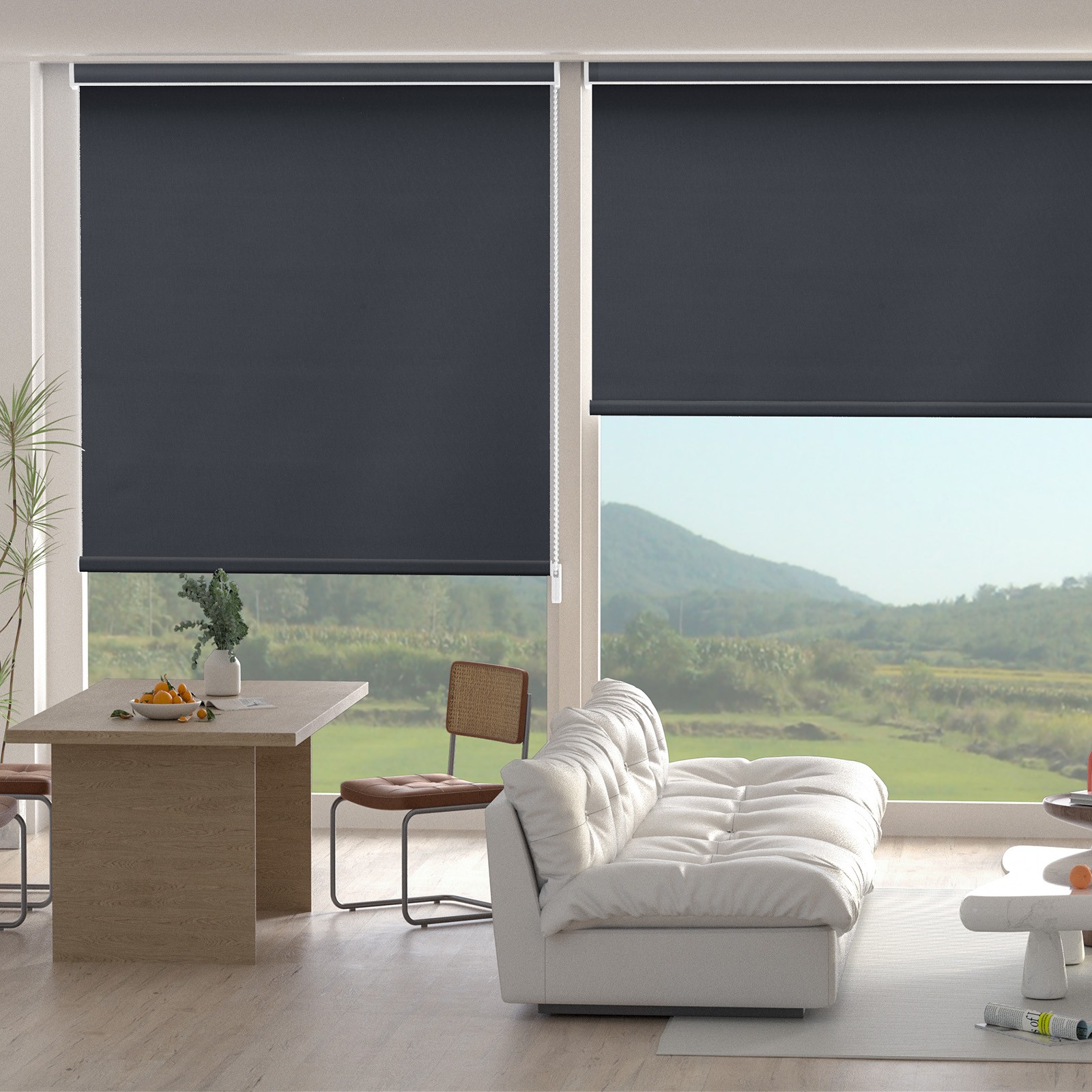 Changshade CUSTOM CUT Blackout Corded Waterproof Window Blinds Roller Shades