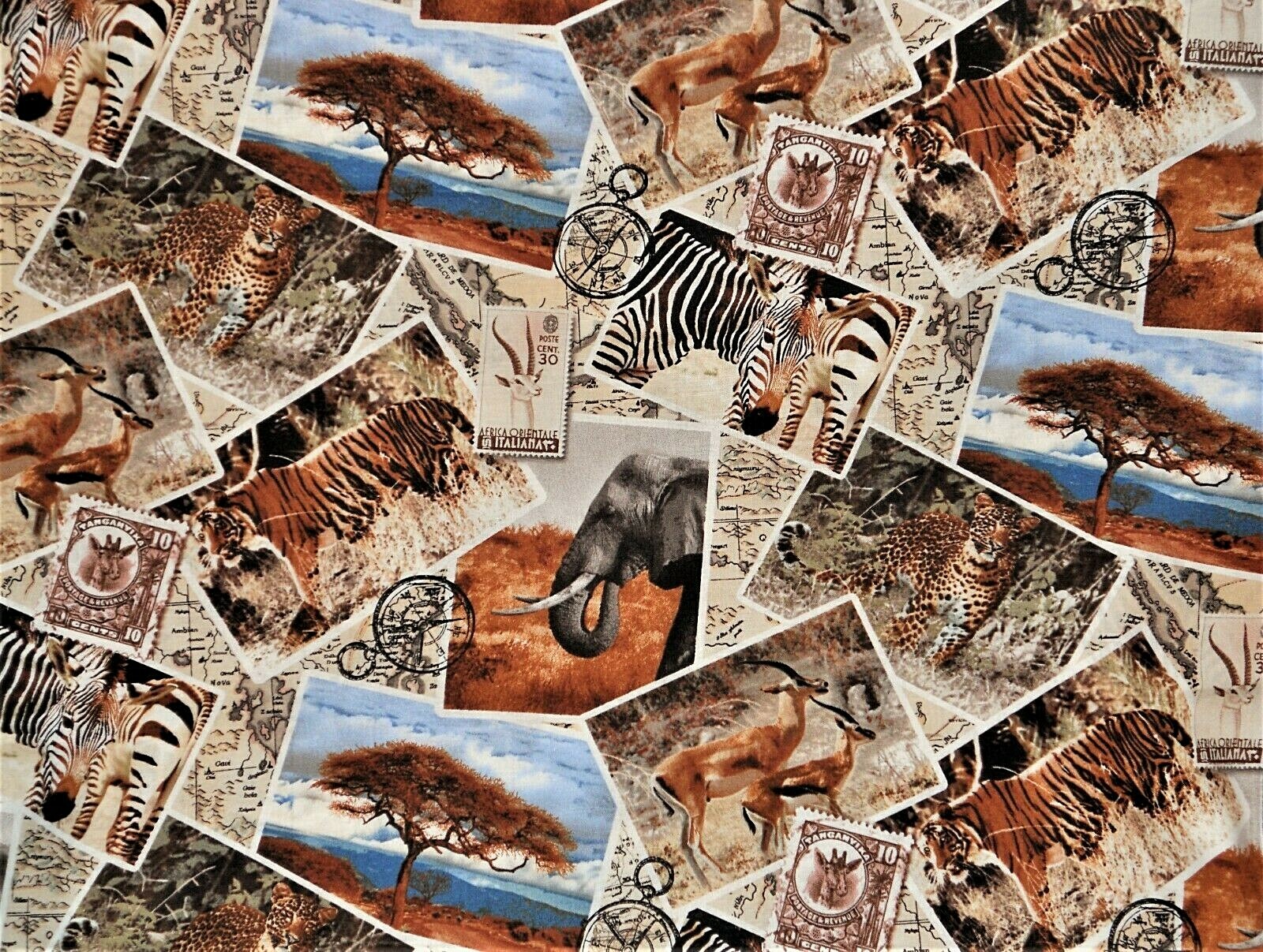 Curtain Valance Leopard Tiger Elephant Giraffe Zebra Wild Safari Postcard 42×13