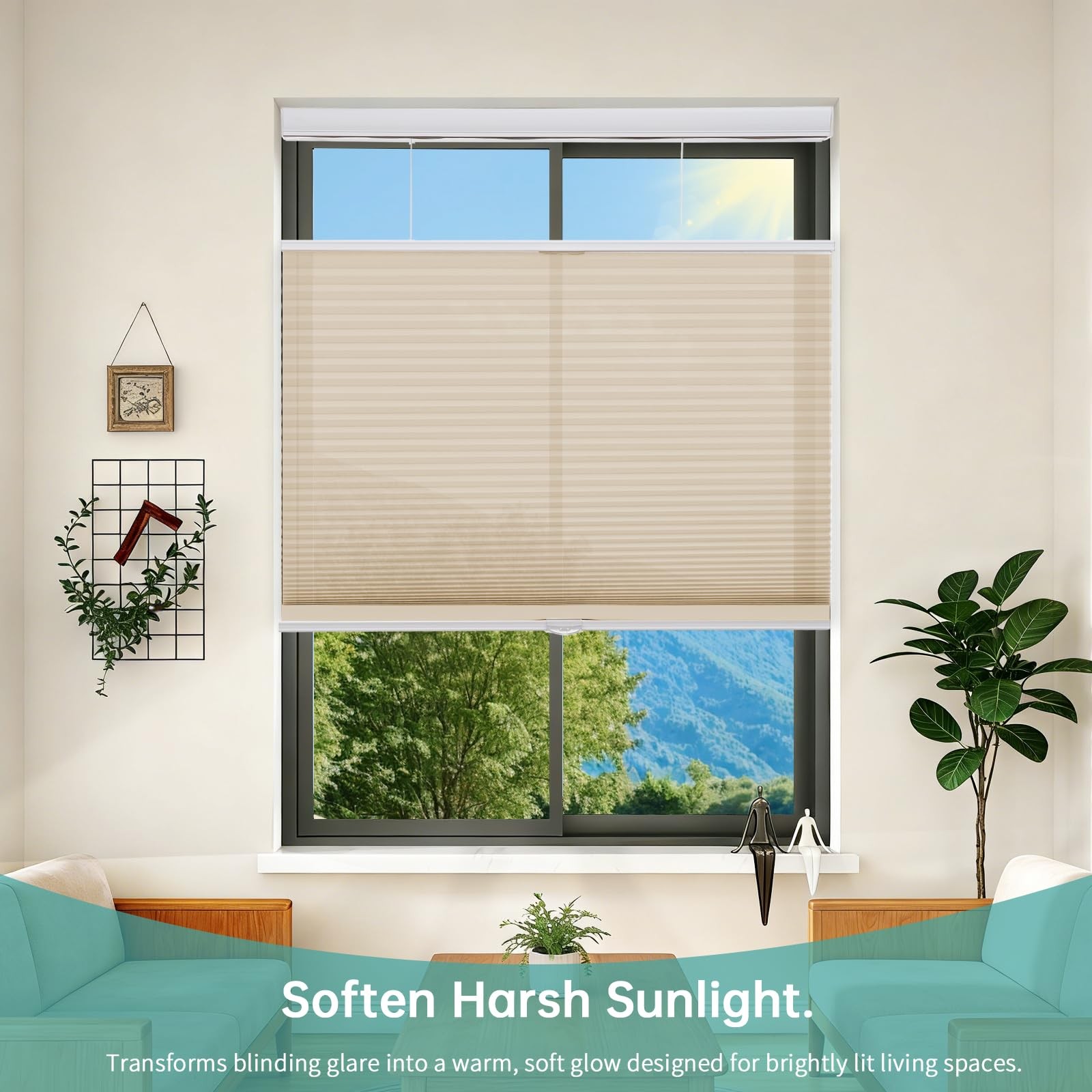 Changshade Top Down Bottom Up Light Filtering Cellular Shades Cordless
