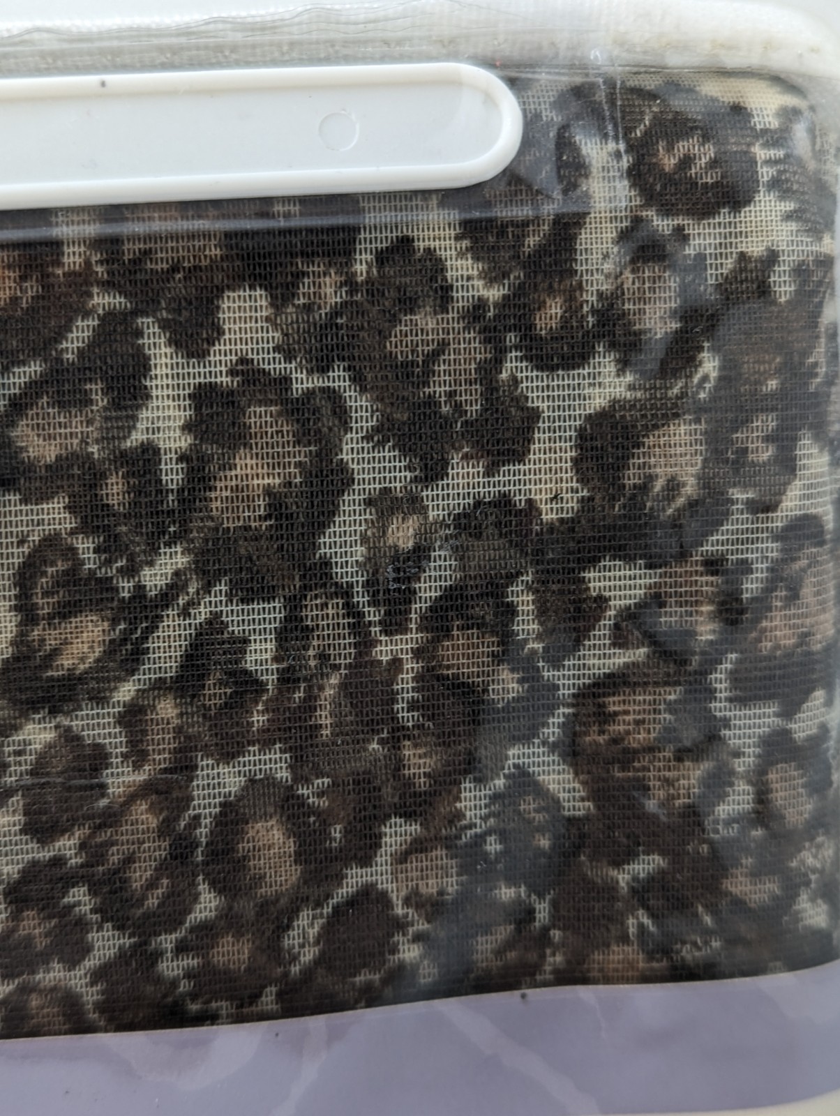 2 Jubilee Ocelot /Animal Print : 40″x216″ Window Scarf Scarves 102cm x 548cm NOS