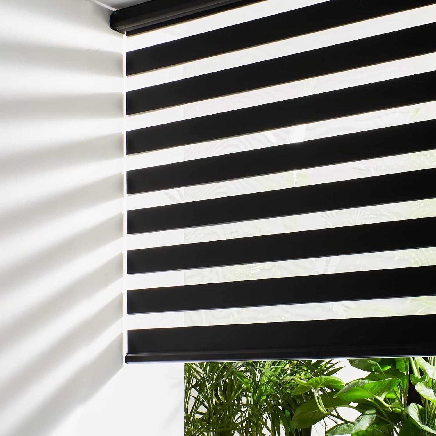 Cordless Zebra Blinds for Windows Free-Stop Roller Window Shades (35″ W X 64″ H,