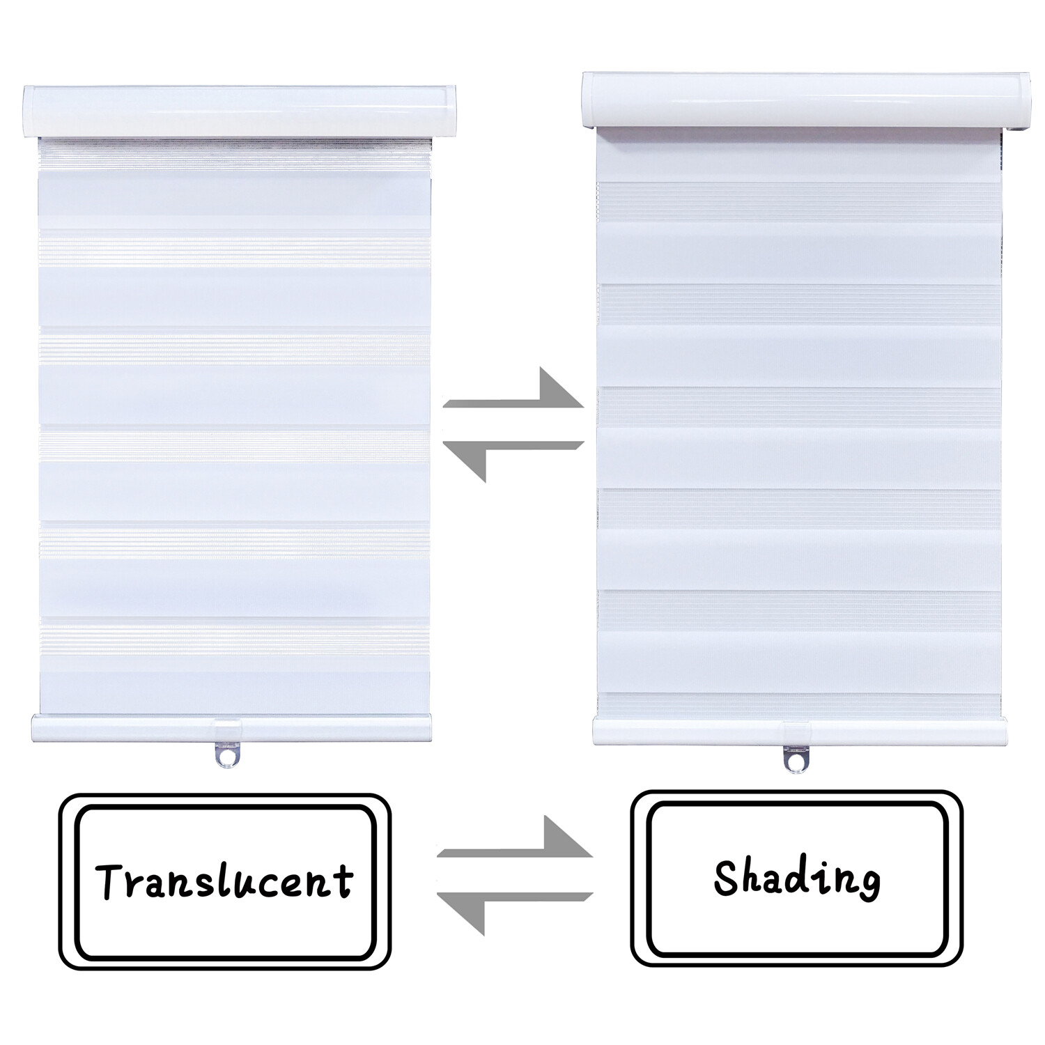 White Zebra Roller Blind Day and Night Window Blind Shade