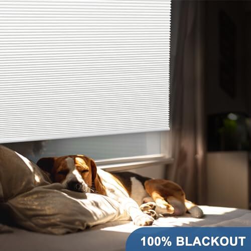 Blackout Shades Cordless Blinds Cellular Fabric Assorted Colors , Sizes