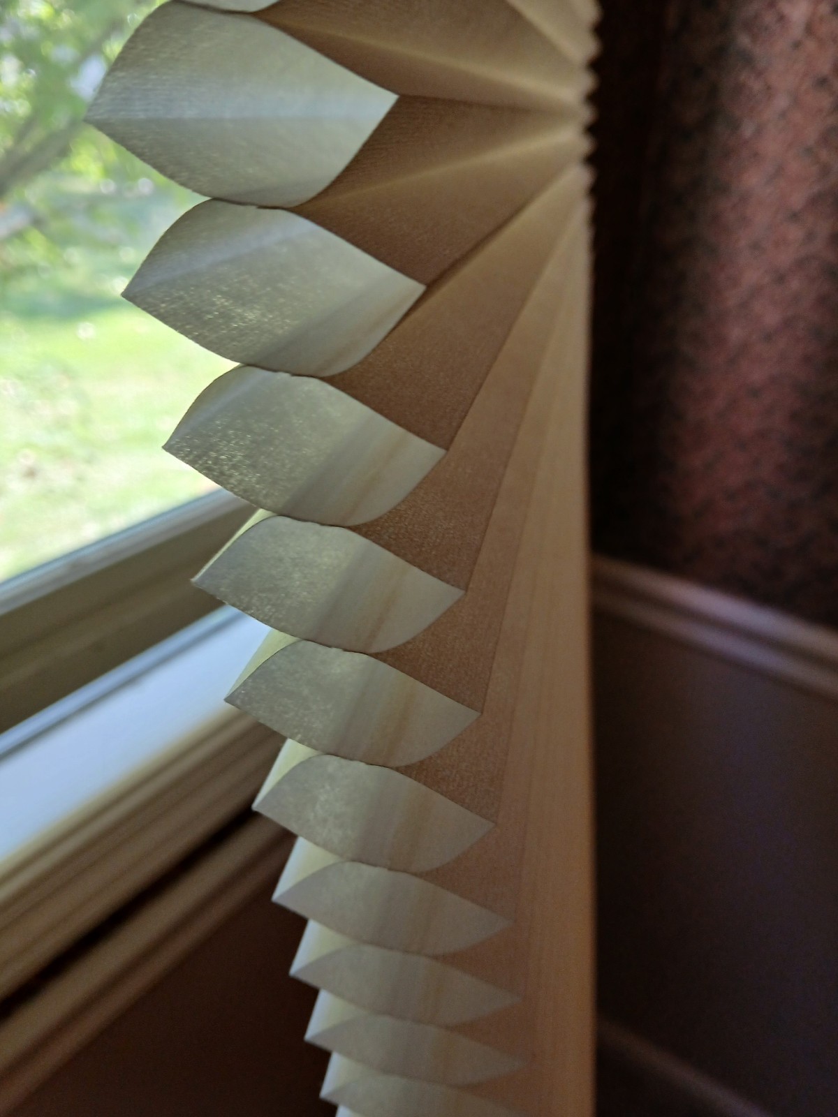 Cellular Shades, cordless, Lot = 2 pcs, 22 3/4″ W x 64″L, Ivory / Alabaster