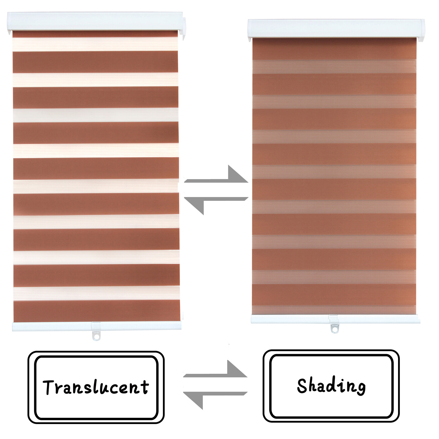 Zebra Roller Blinds [(W)60″ x (H)72″] Brown, Cordless, Dual Layer Shades, Sheer