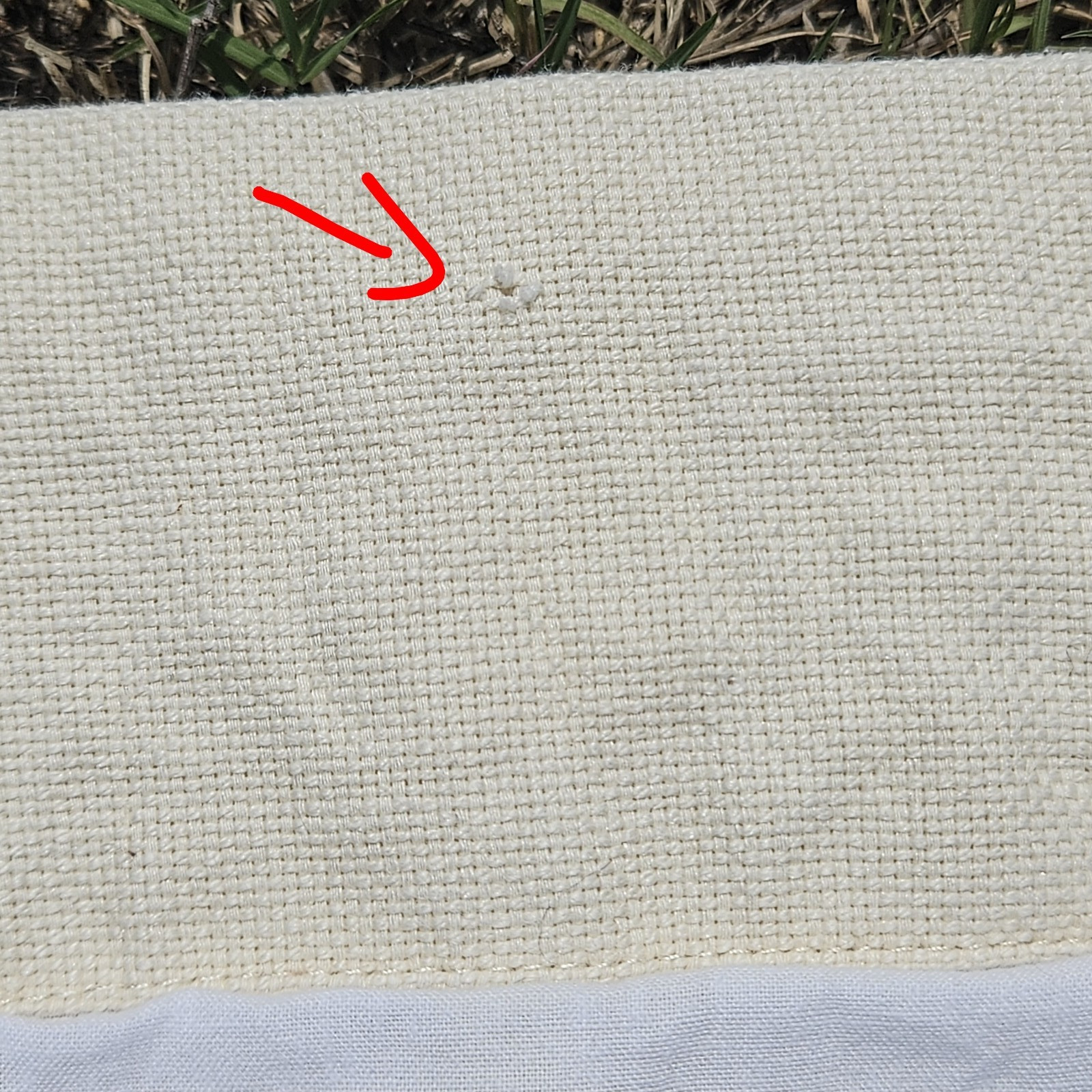 Pottery Barn Margaritte Embroidered Drapes Pair Lined Rod Pocket 82″ L