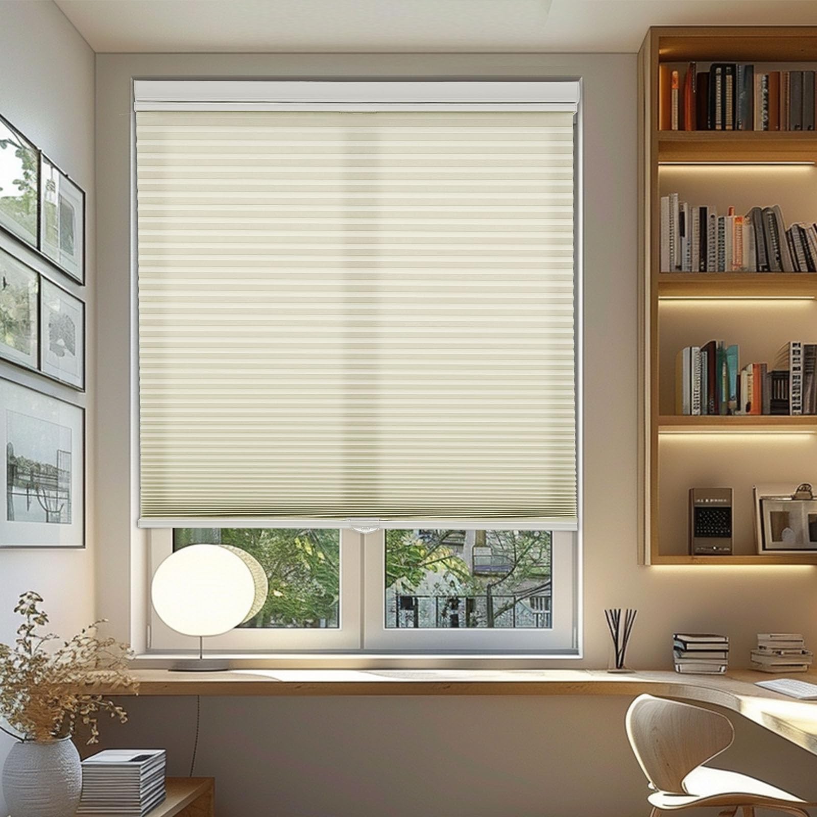 Changshade Top Down Bottom Up Light Filtering Cellular Shades Cordless