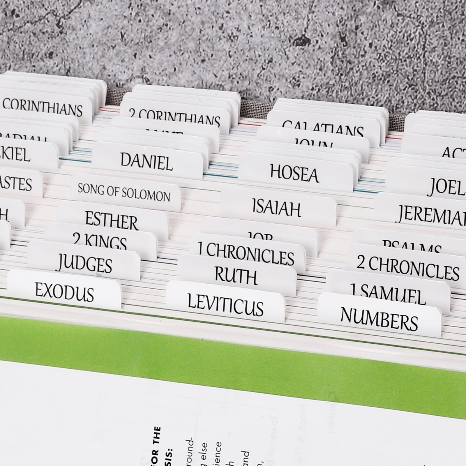 Thinkor Reposition Laminated Bible Tabs, Large Print Large, Cream White