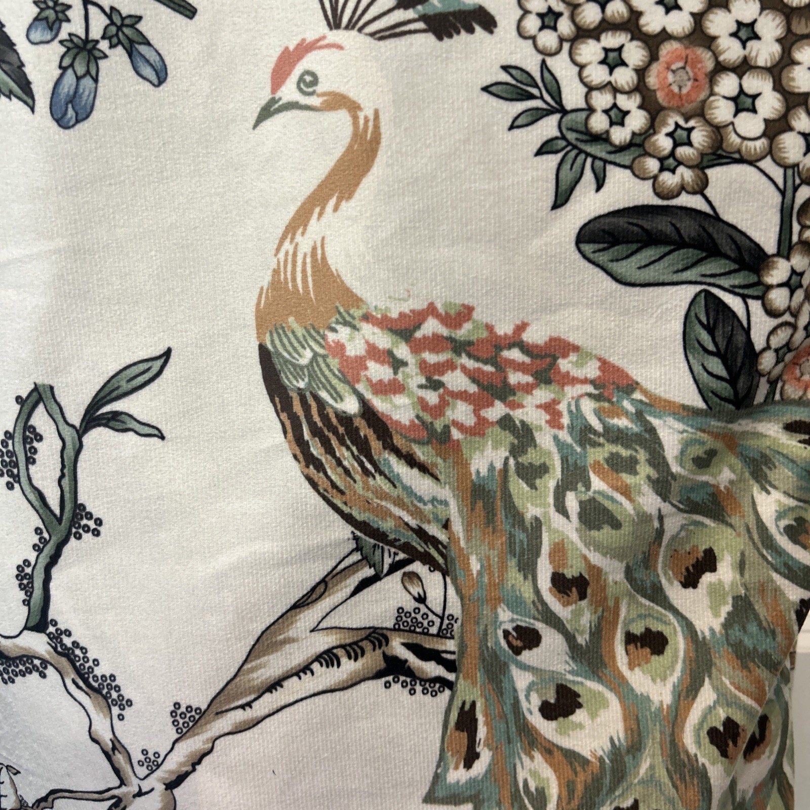 Callisto Home PEACOCK FLORAL 2 Panels Window Curtains 38×96 ~ LIGHT BLUSH Cream