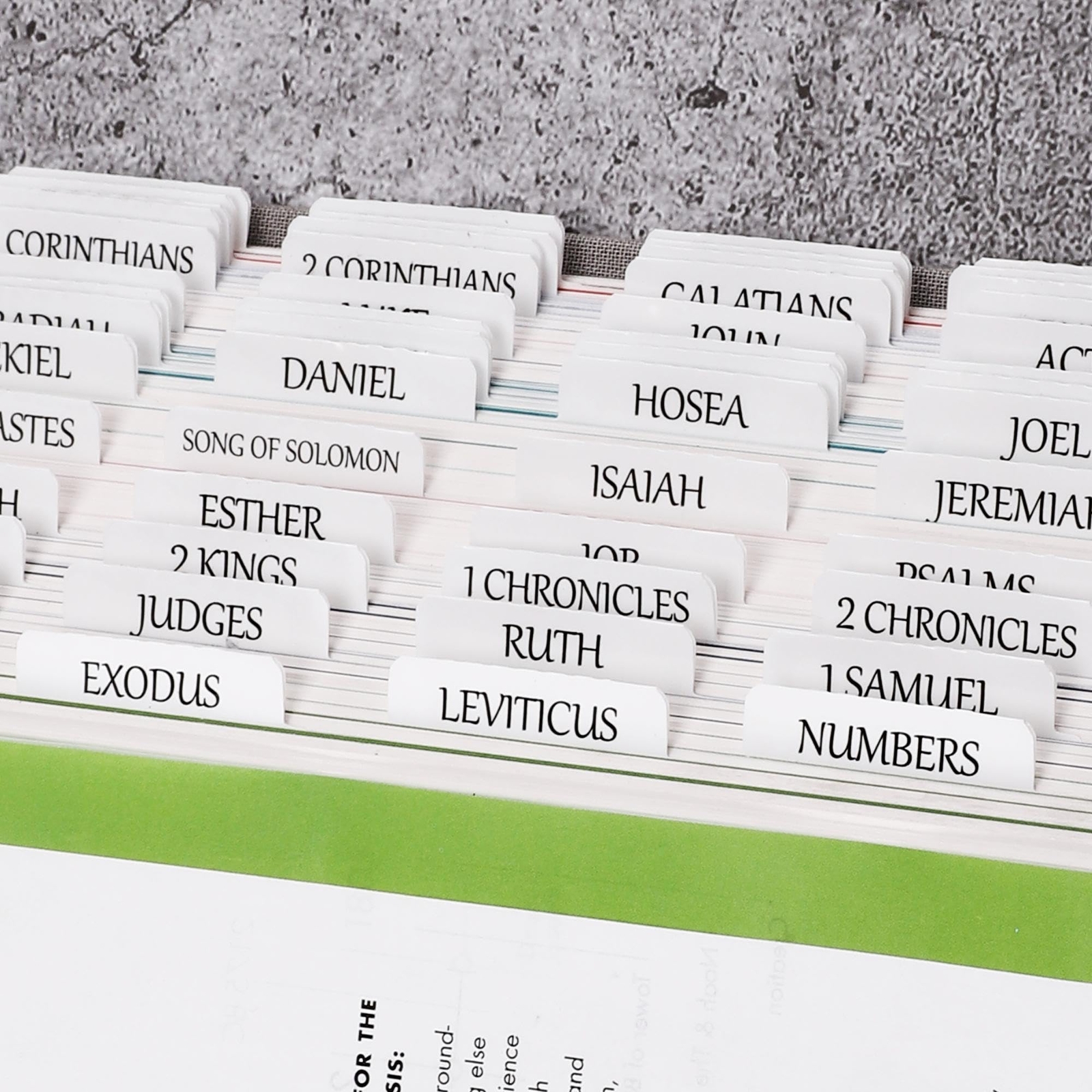 Thinkor Reposition Laminated Bible Tabs, Large Print Large, Cream White