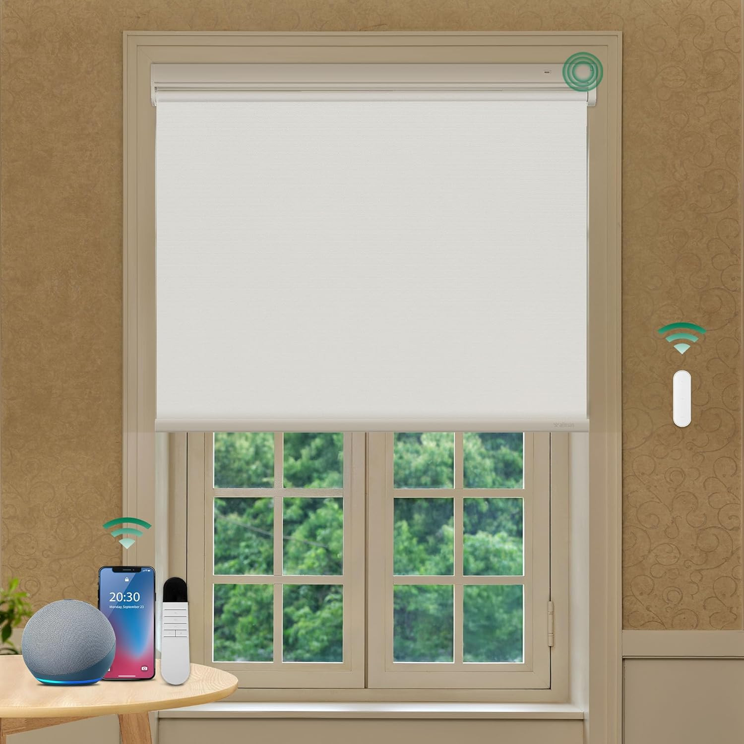Motorized Blinds with Remote Control, Blackout Roller Shades,Compatible with Ale