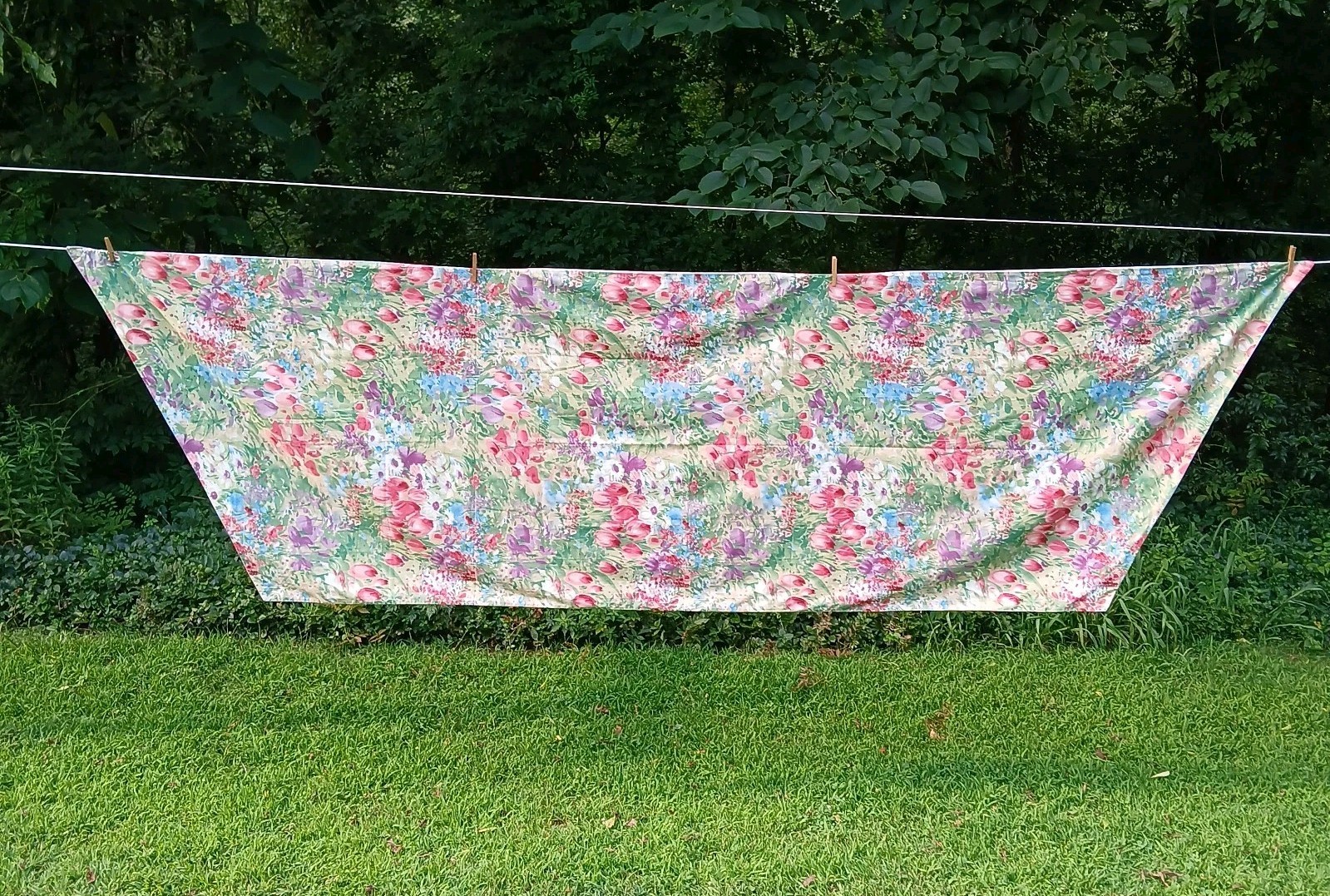 Croscill Window Scarf Valance Cottage Fabric Floral Blue Purple Pink Pair 142×42