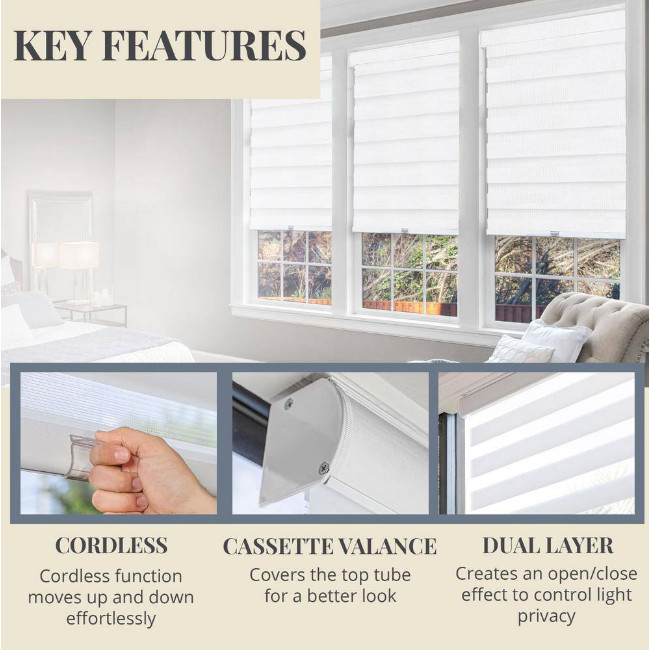 Cordless Light Filtering Dual Layer Zebra Roller Shade 27 in. W x 72 in. L