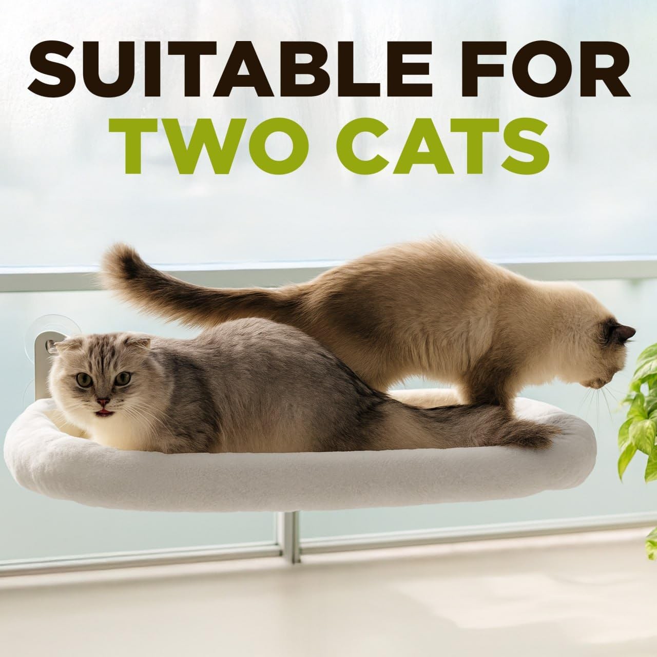Golden Sheaves Cat Window Perch – Strong 6 23.3″ x 11.2″ x 7.8″, White