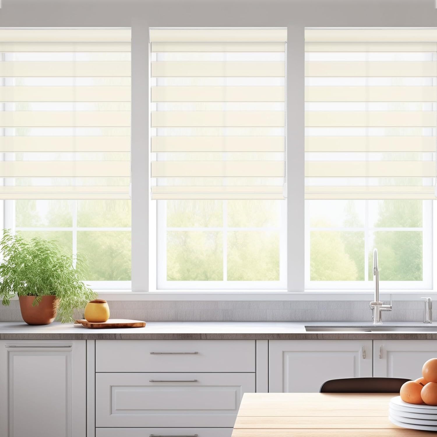 Changshade CUSTOM Dual Zebra Blind Light Filtering Horizontal Shade Roller Blind