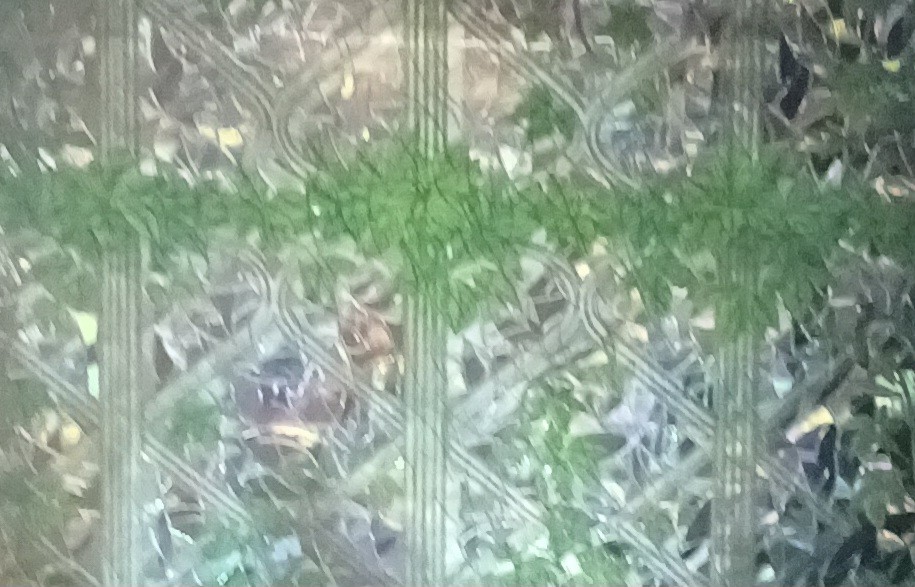 Window Covering Privacy Film – Rainbow Ivy Design 35.4″ x 78.7″ Quantity Avail
