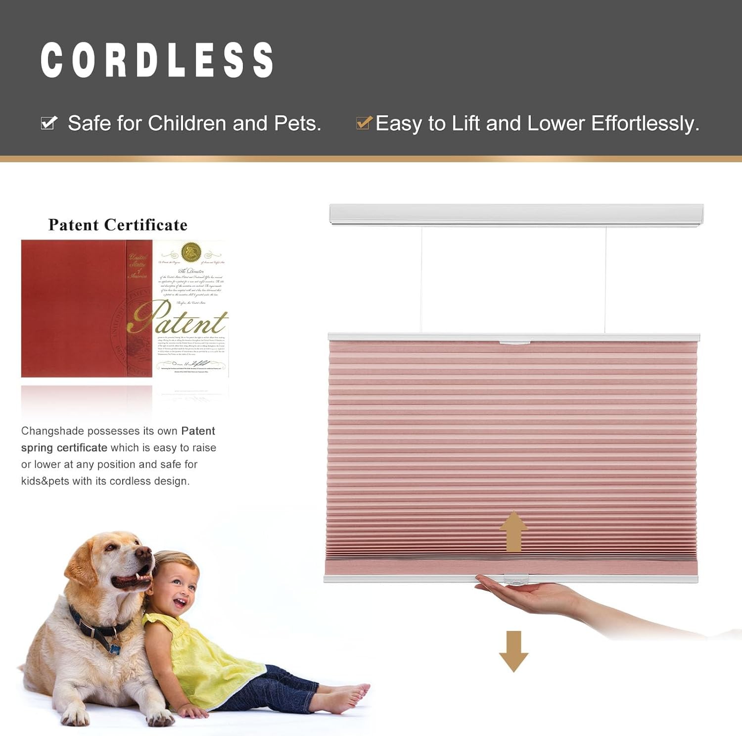 Changshade Cordless Top Down Bottom Up Cellular Shades Blackout Honeycomb Blinds