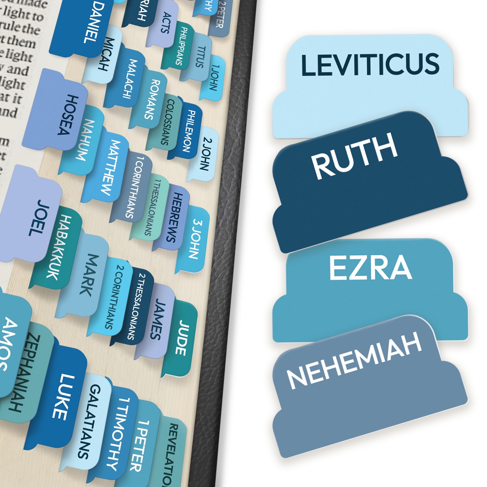 Only Zest Bible Tabs for Women, Men, Kids, 90 Large Print Index Blue