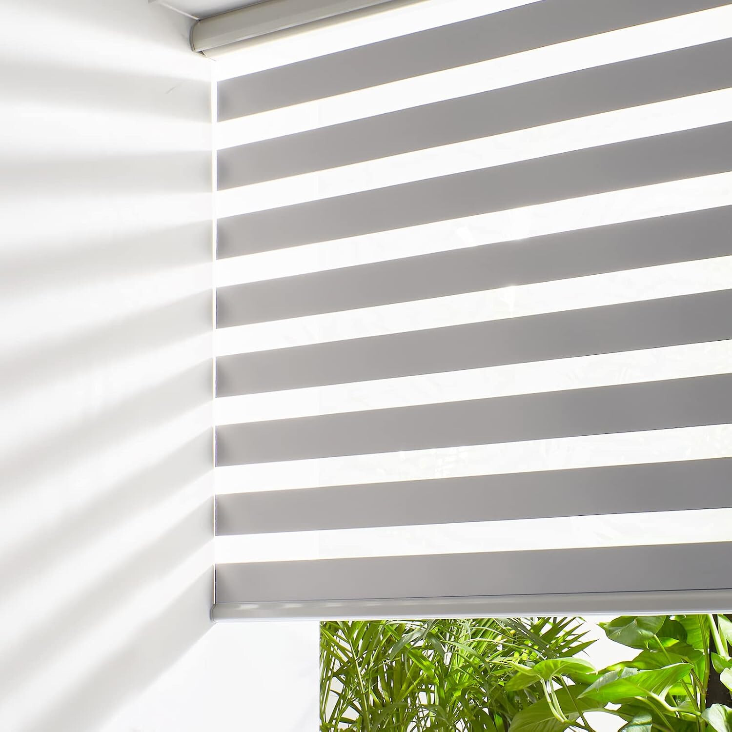 Zebra Blinds Persilux Cordless for Windows Free-Stop Roller Windows Shades 34×72