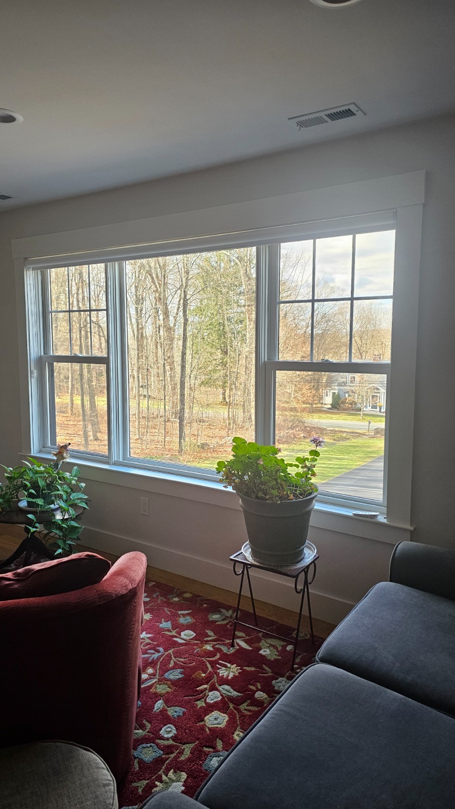 Shades – Budget Blinds, Light Filtering Roller Shades, Cordless, Open Roll