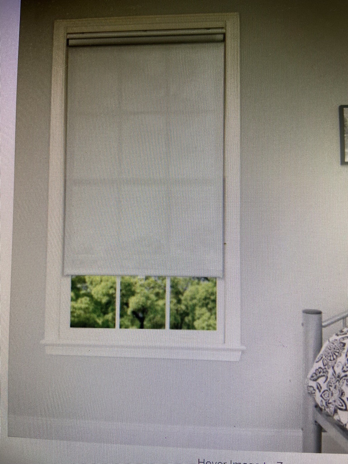 32-39. 75×64 Unfringed Cordless Spring Roller Shade