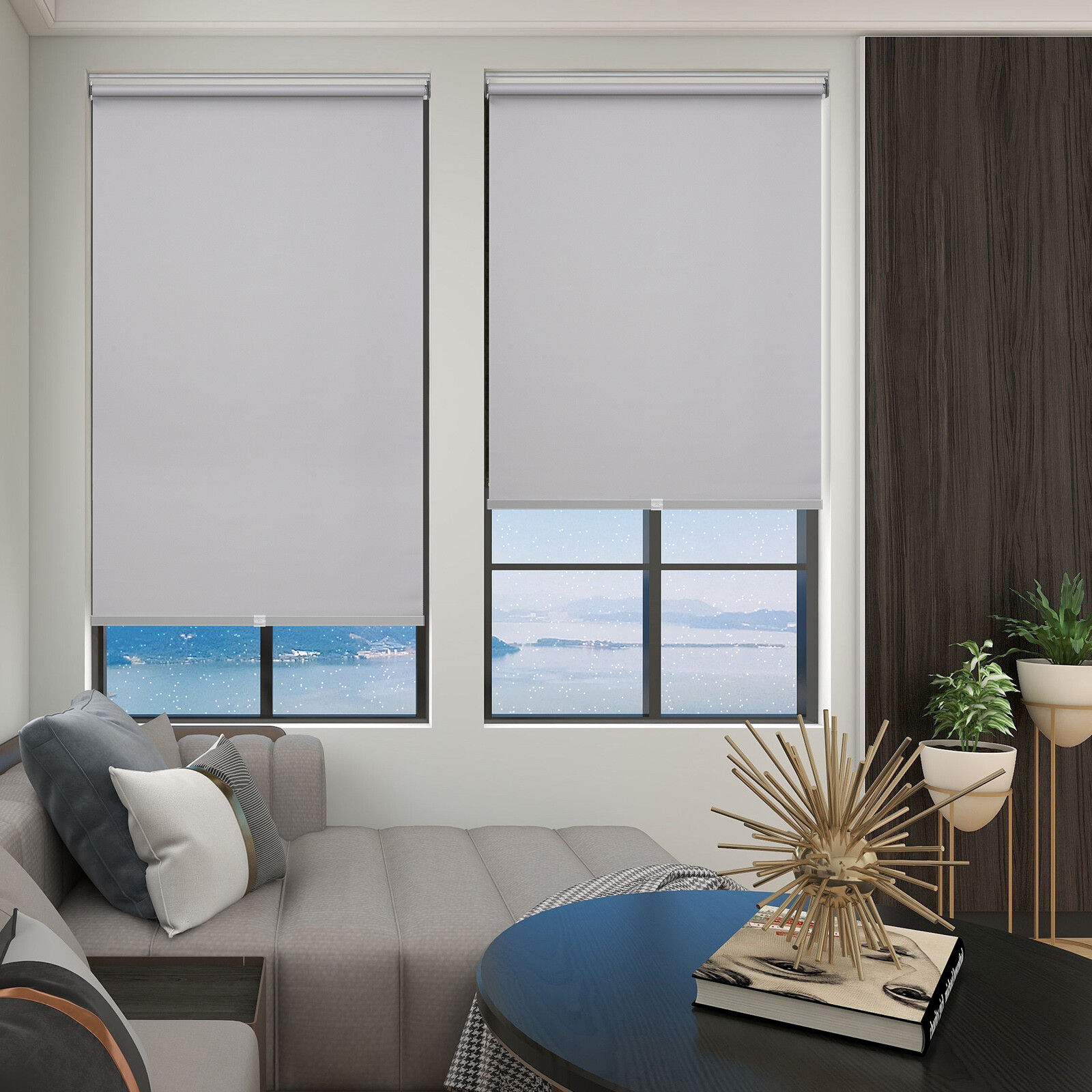 Changshade 100% Blackout Cordless Roller Shades Window Blinds Room Darkening