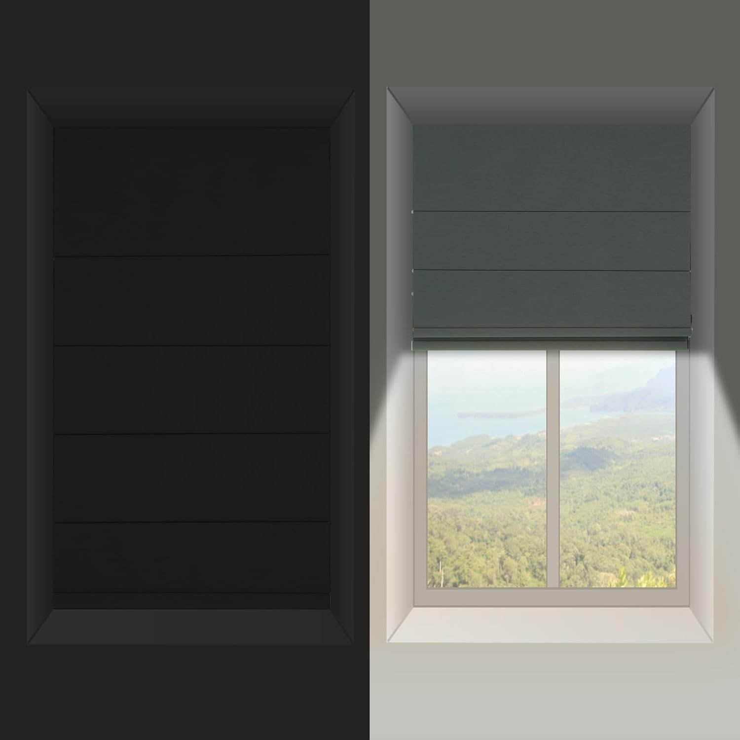 Changshade CUSTOM SIZE Window Blinds Cordless Roman Shades Roller Blinds