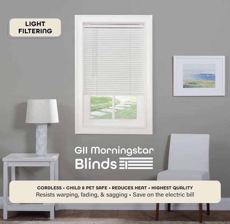 Cordless Light Filtering Mini Blind – 27 Inch Width 64 Inch Length 1″ Slat White