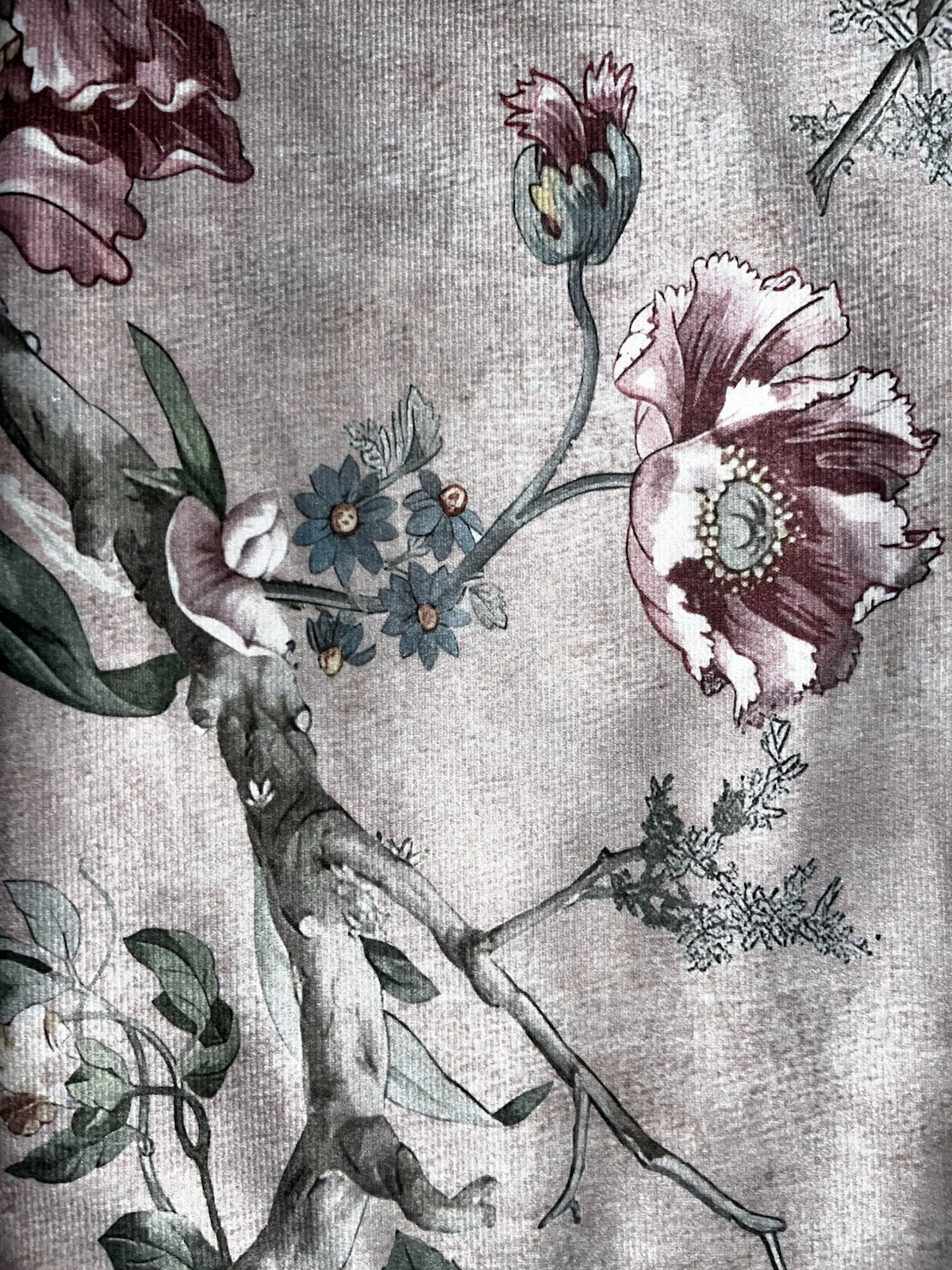 1-NWT CALLISTO HOME FLORAL PRINT BLUSH CURTAINS SET OF 2 PANELS SIZE 38”x 96”