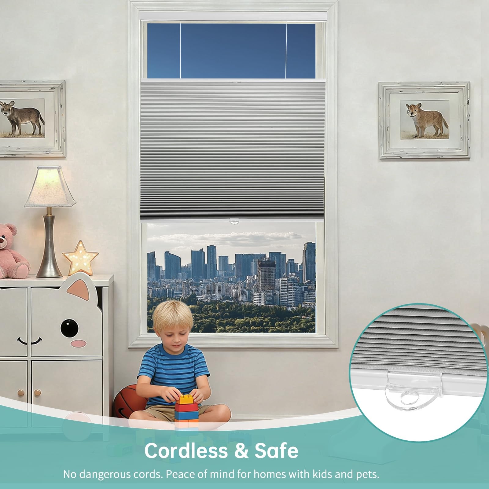 Changshade Blackout Top Down Bottom Up Cellular Shades Cordless Honeycomb