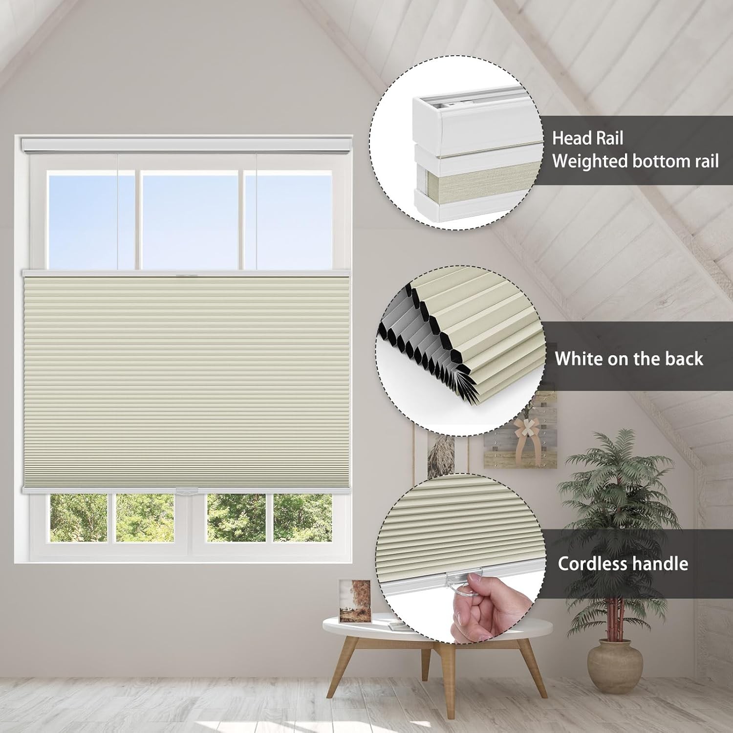 Changshade Cordless Blackout Cellular Blinds Top-Down Bottom Up Honeycomb Blinds