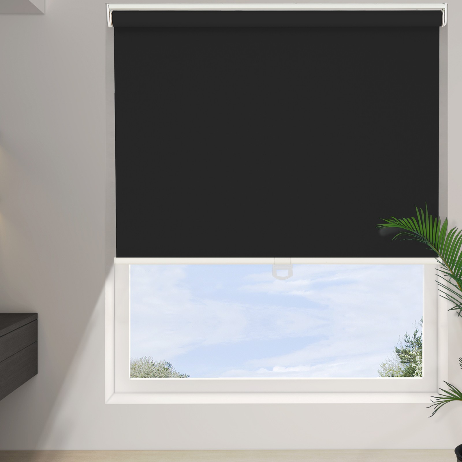 Changshade Cordless Blackout Roller Shade Room Darkening Rolled Up Blind