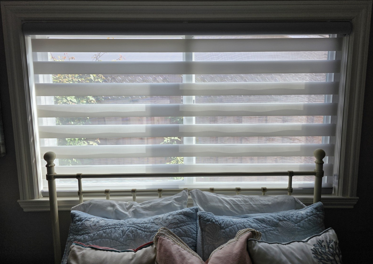 Blindster Zebra Transition Shades Light Filtering White Stripe 70 5/8 x 41 in