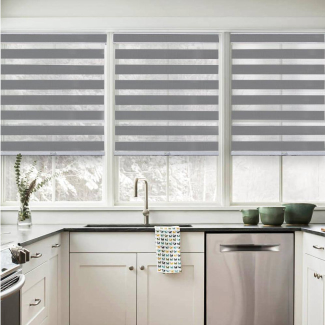 Cordless Light Filtering Dual Layer Zebra Roller Shade 27 in. W x 72 in. L