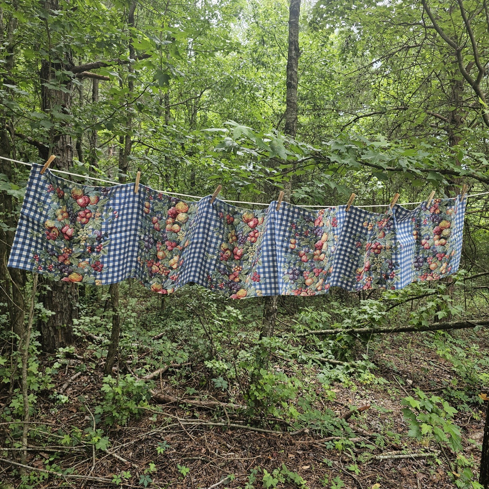 Vintage JCPenney Fruit & Blue Gingham Window Valance 90×14 Cottage Farmhouse