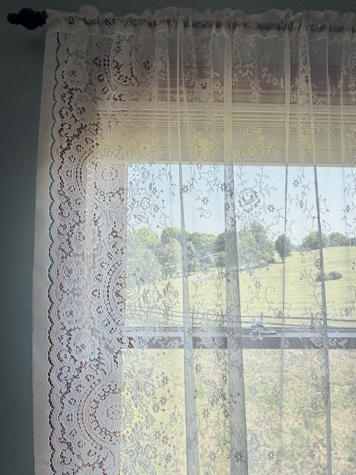 Protela 2 Panels Lace Curtains Ivory Ecru Each Panel Is 62” X 62” Floral Rose