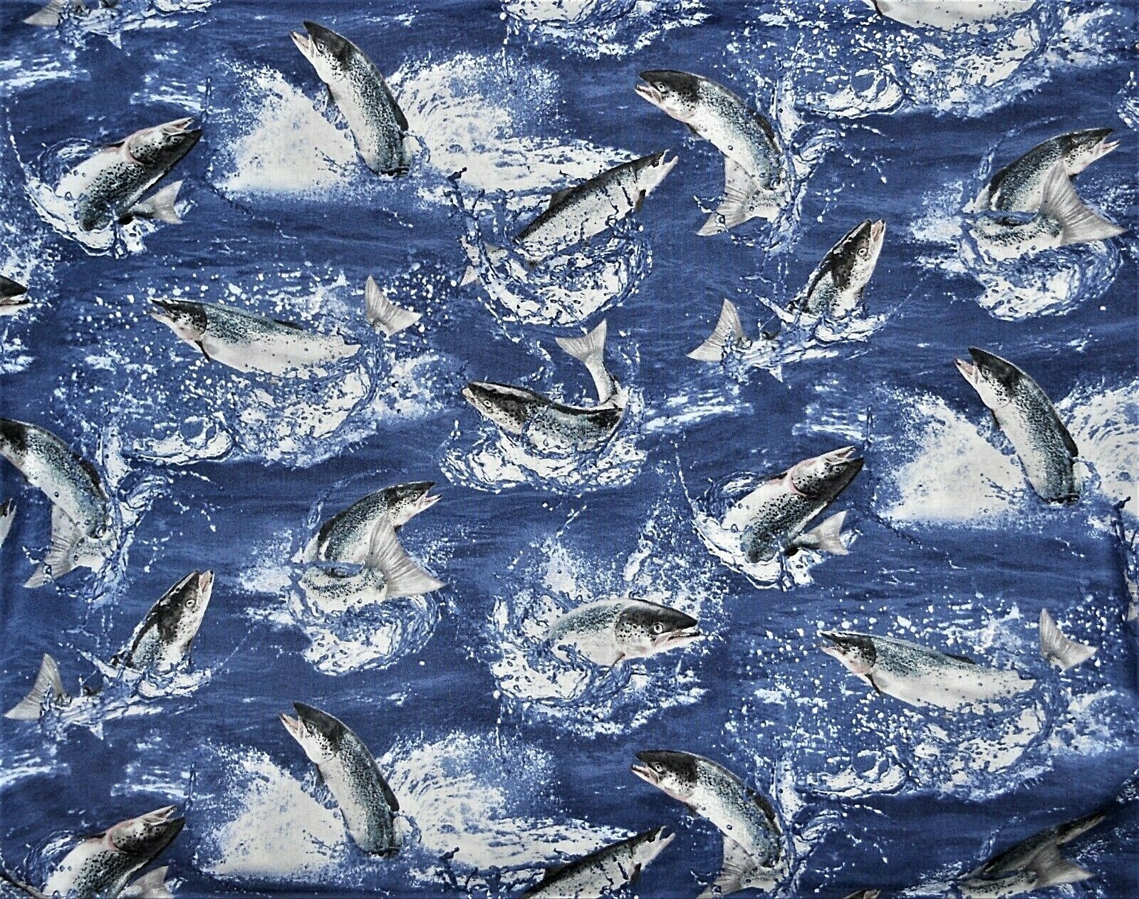 Salmon Curtain Valance Fish Fishing Nautical River Man Cave Toss Blue 42 x 14