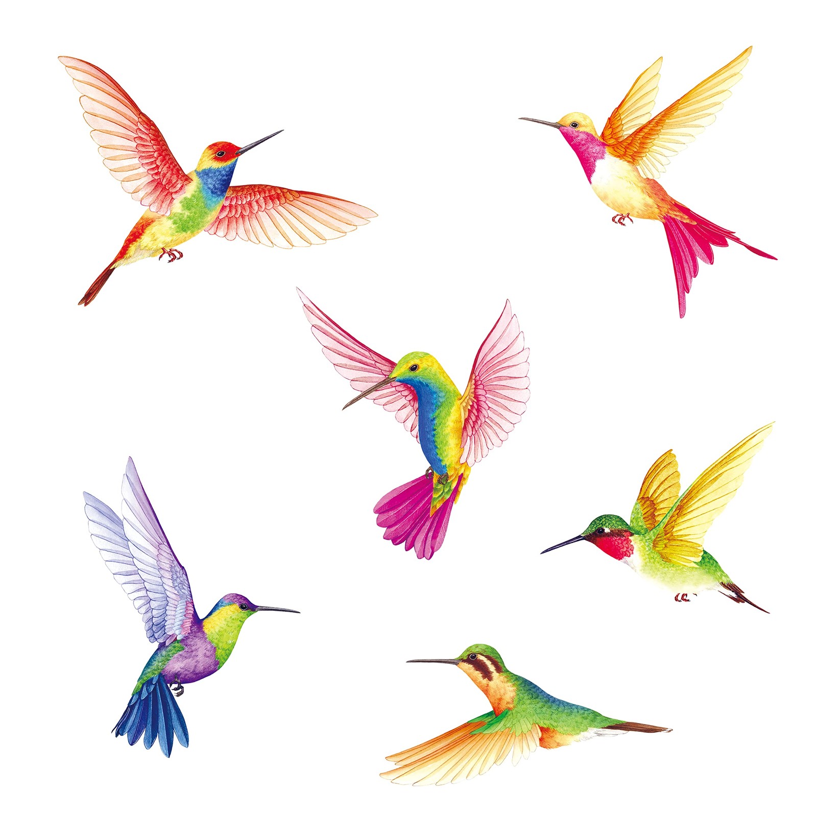 BASHOM DS2-4002 Hummingbirds Wall Stickers Decals Kids Peel and Stick Ba-4002