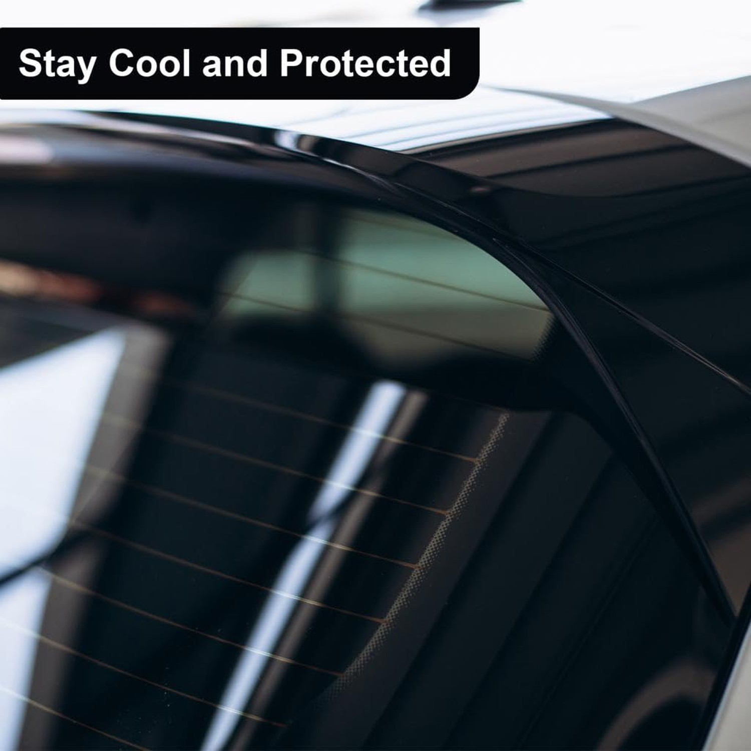 Professional Auto Window Tint Film Roll, 20% Premium Carbon Car Window Privac…