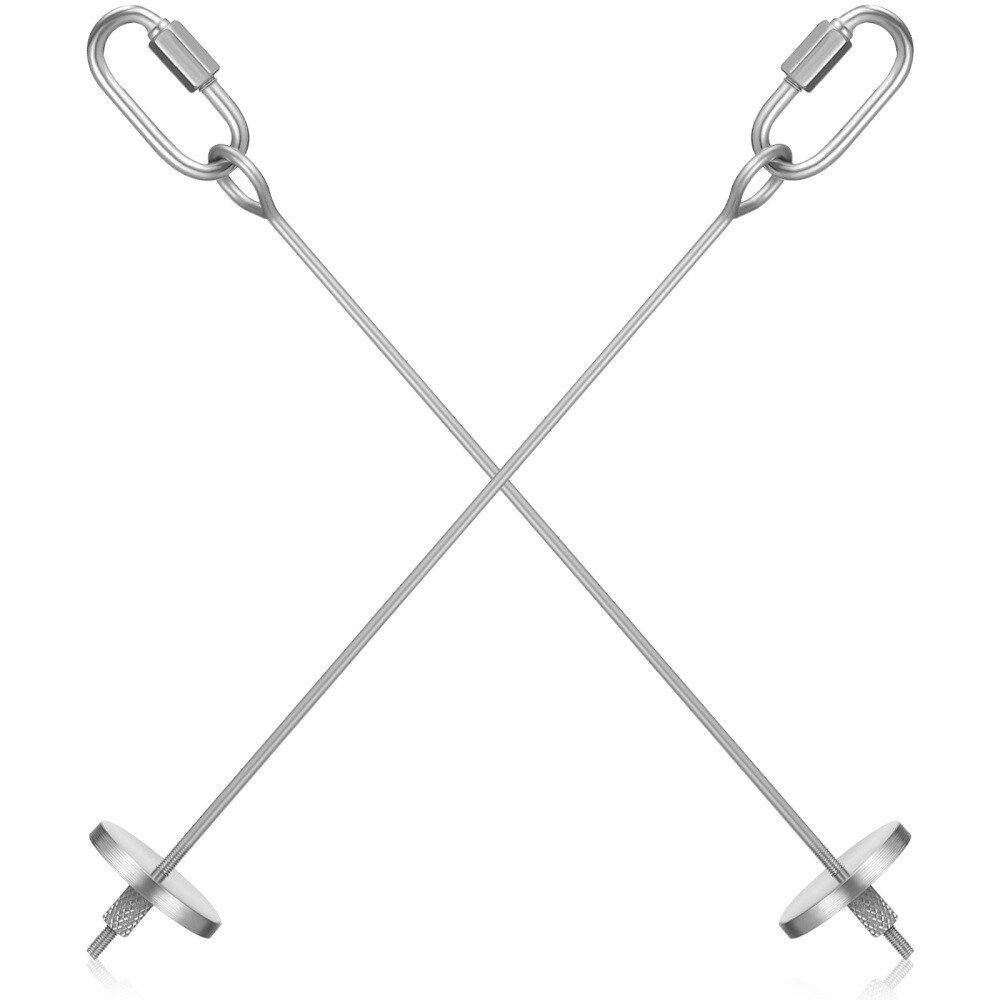 2PCS Bird Skewers Bird Treat Skewers Bird Food Holders Fruit Stainless Steel