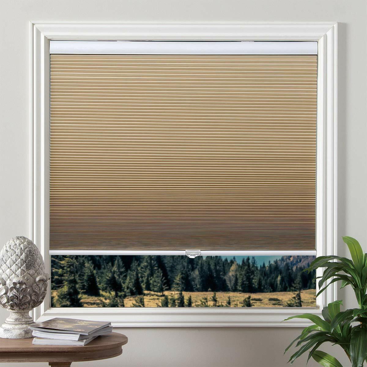 Grandekor 31X64 Cellular Shades Cordless Blackout Blinds Window Fabric Shad. R