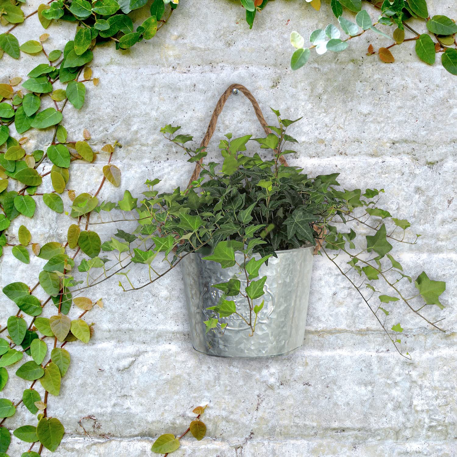 4Pcs Galvanized Metal Wall Planters for Succulents & Herbs – Rustic Decor